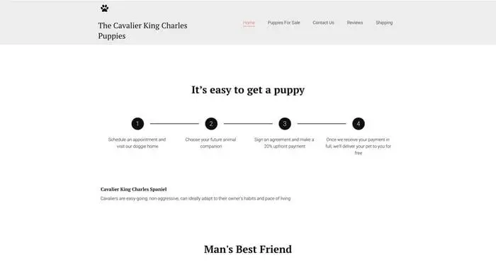 Screenshot of