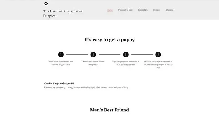 Screenshot of