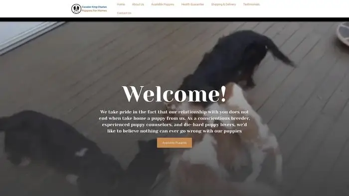 Screenshot of