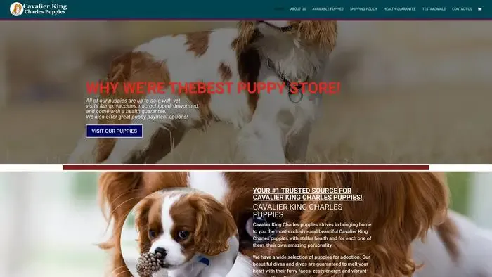 Screenshot of