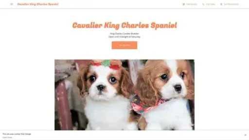 Screenshot of