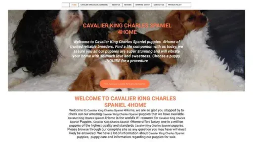 Screenshot of