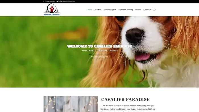Screenshot of
