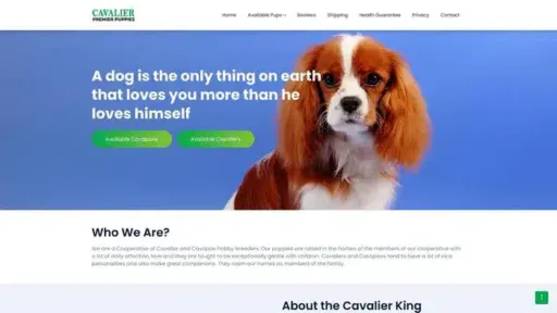 Screenshot of