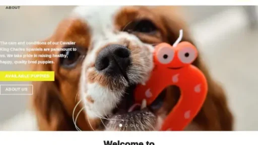 Screenshot of