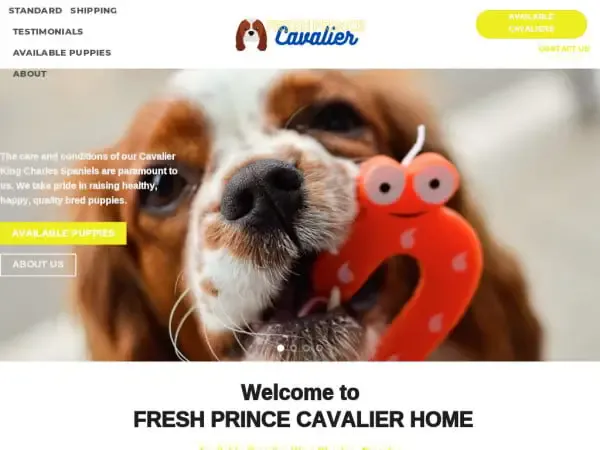 Screenshot of