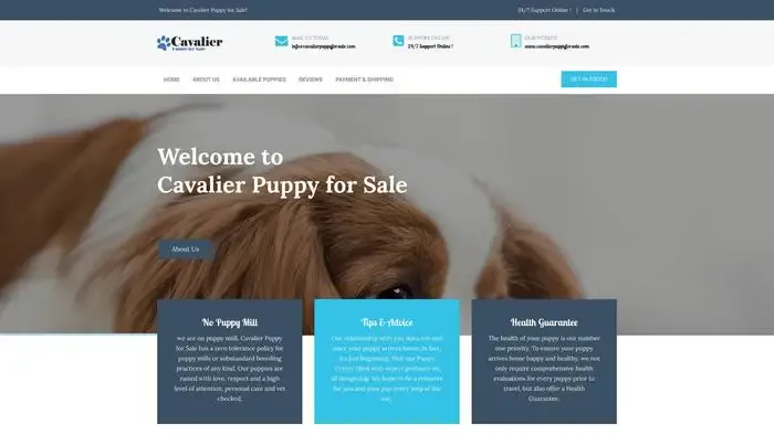 Screenshot of