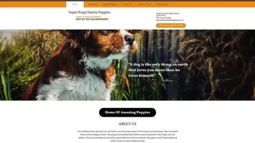 Screenshot of