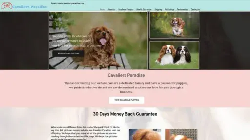 Screenshot of