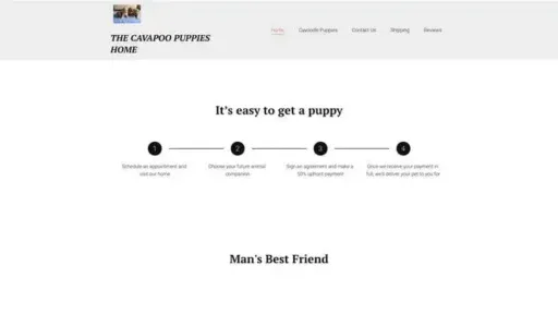 Screenshot of