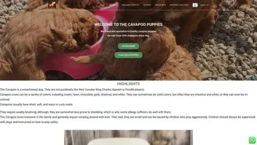 Screenshot of