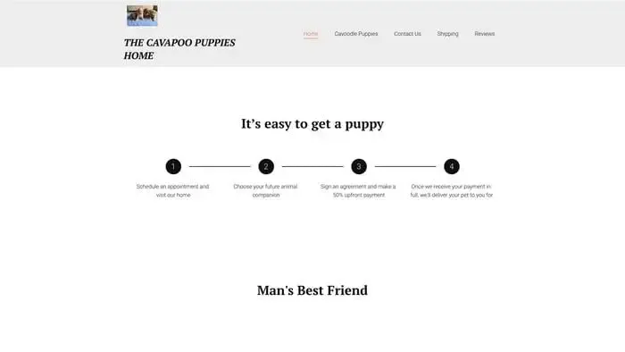 Screenshot of