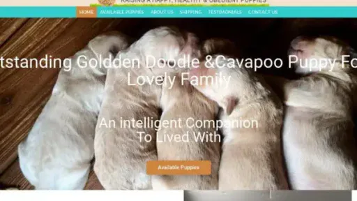 Screenshot of