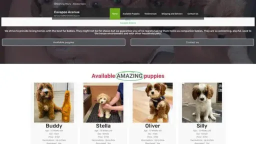 Screenshot of