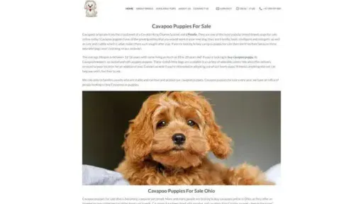 Screenshot of