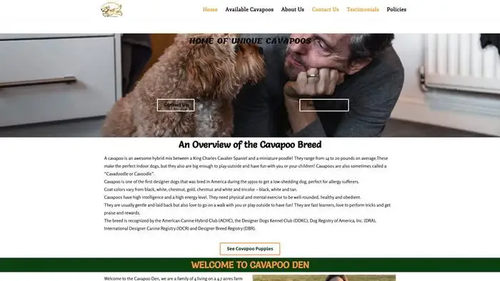 Screenshot of