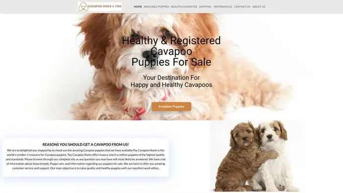 Screenshot of