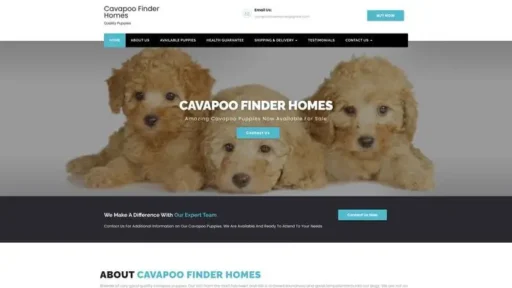 Screenshot of