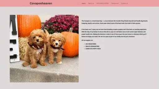 Screenshot of