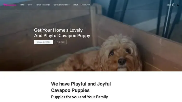 Screenshot of