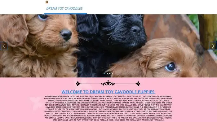 Screenshot of