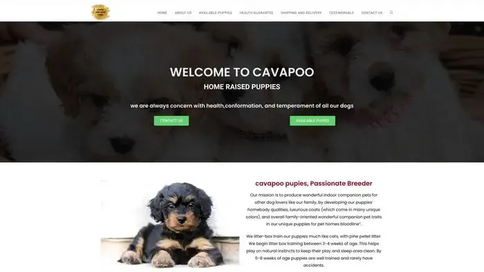 Screenshot of