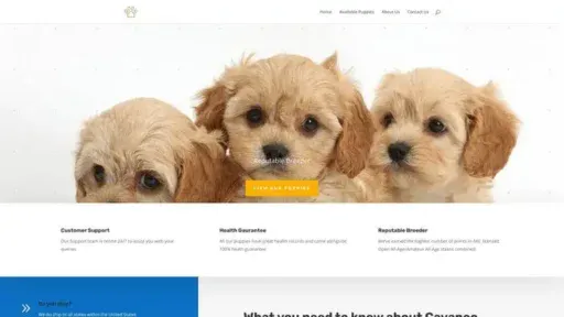 Screenshot of