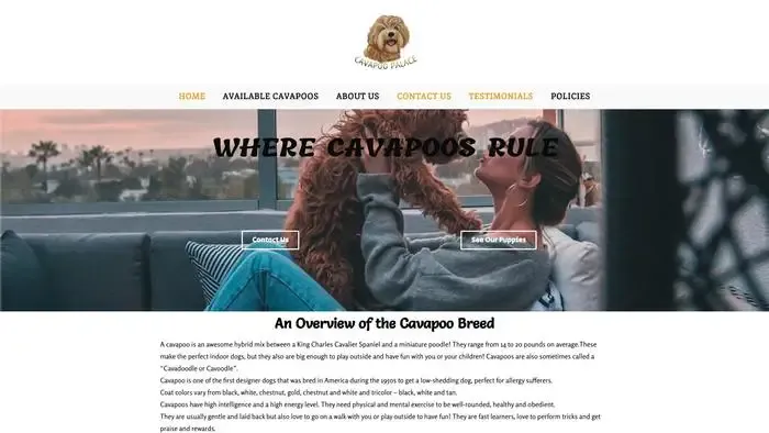 Screenshot of
