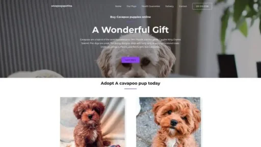 Screenshot of