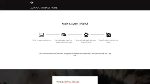 Screenshot of