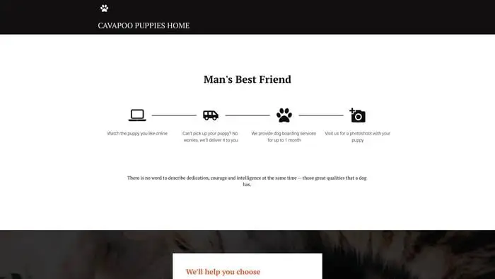 Screenshot of