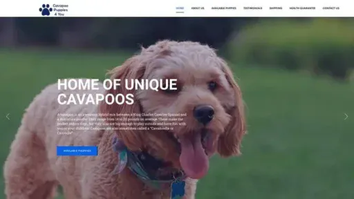 Screenshot of