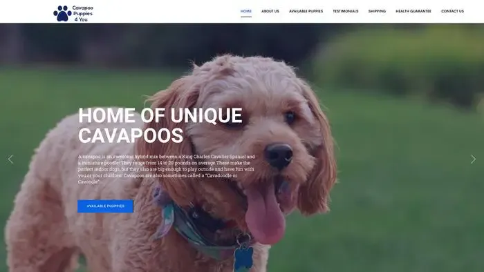 Screenshot of