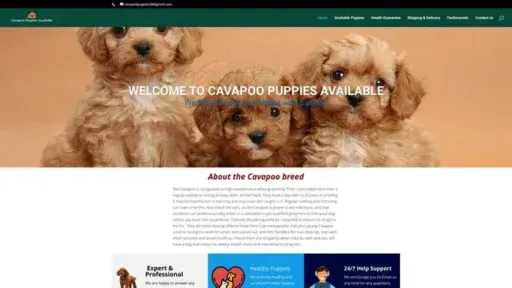 Screenshot of