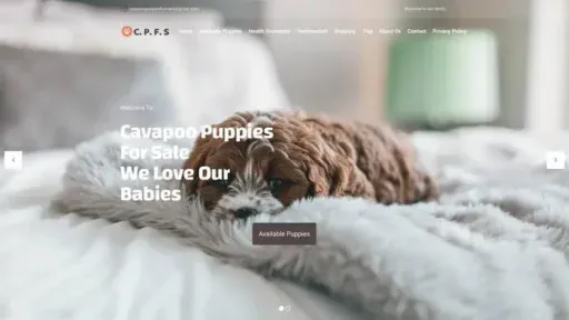 Screenshot of