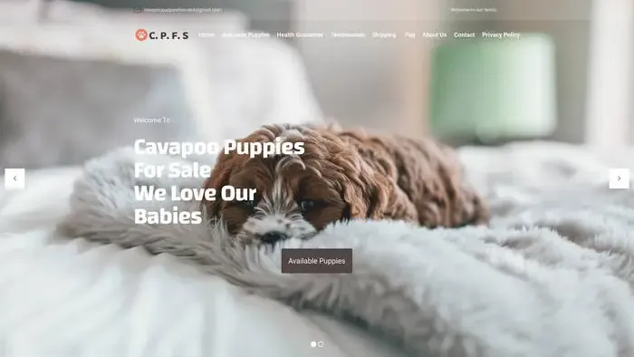 Screenshot of