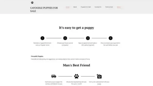Screenshot of