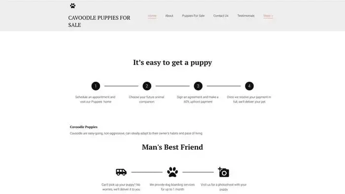 Screenshot of