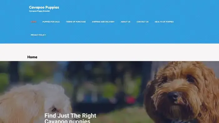 Screenshot of