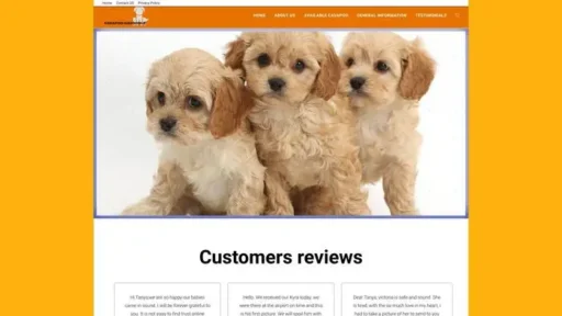 Screenshot of