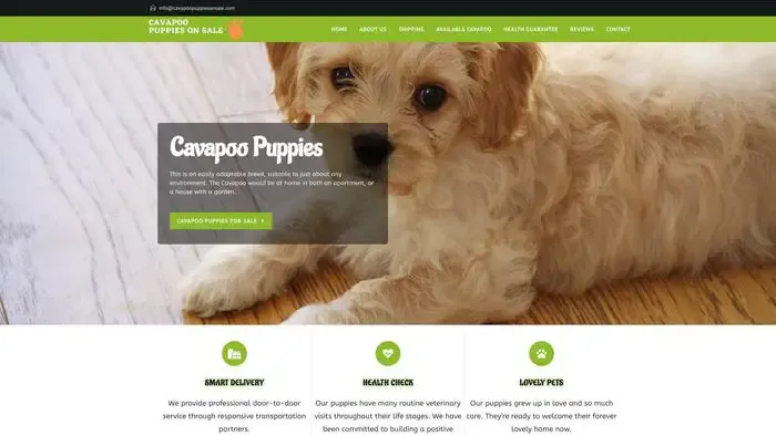 Screenshot of