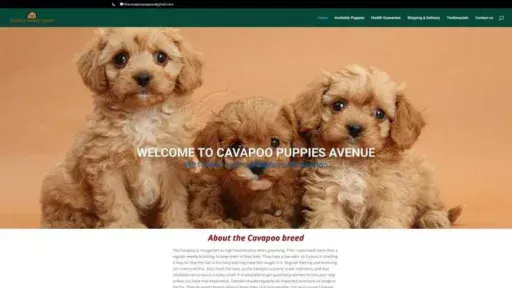 Screenshot of