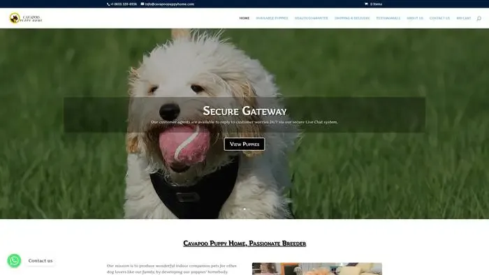 Screenshot of