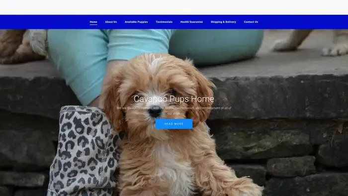 Screenshot of