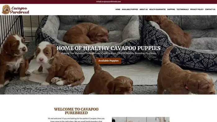 Screenshot of