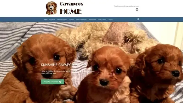 Screenshot of
