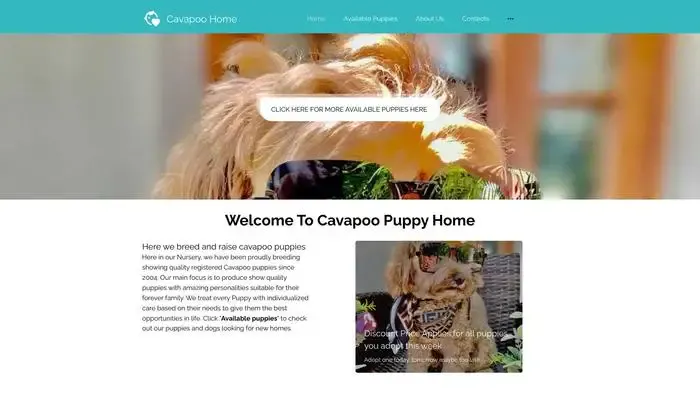 Screenshot of