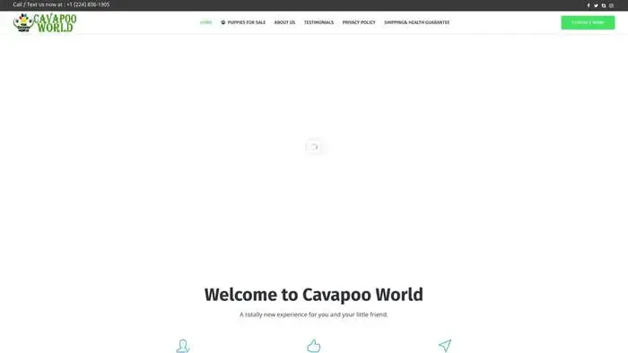 Screenshot of