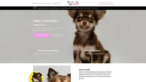 Screenshot of||
