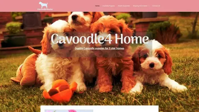 Screenshot of